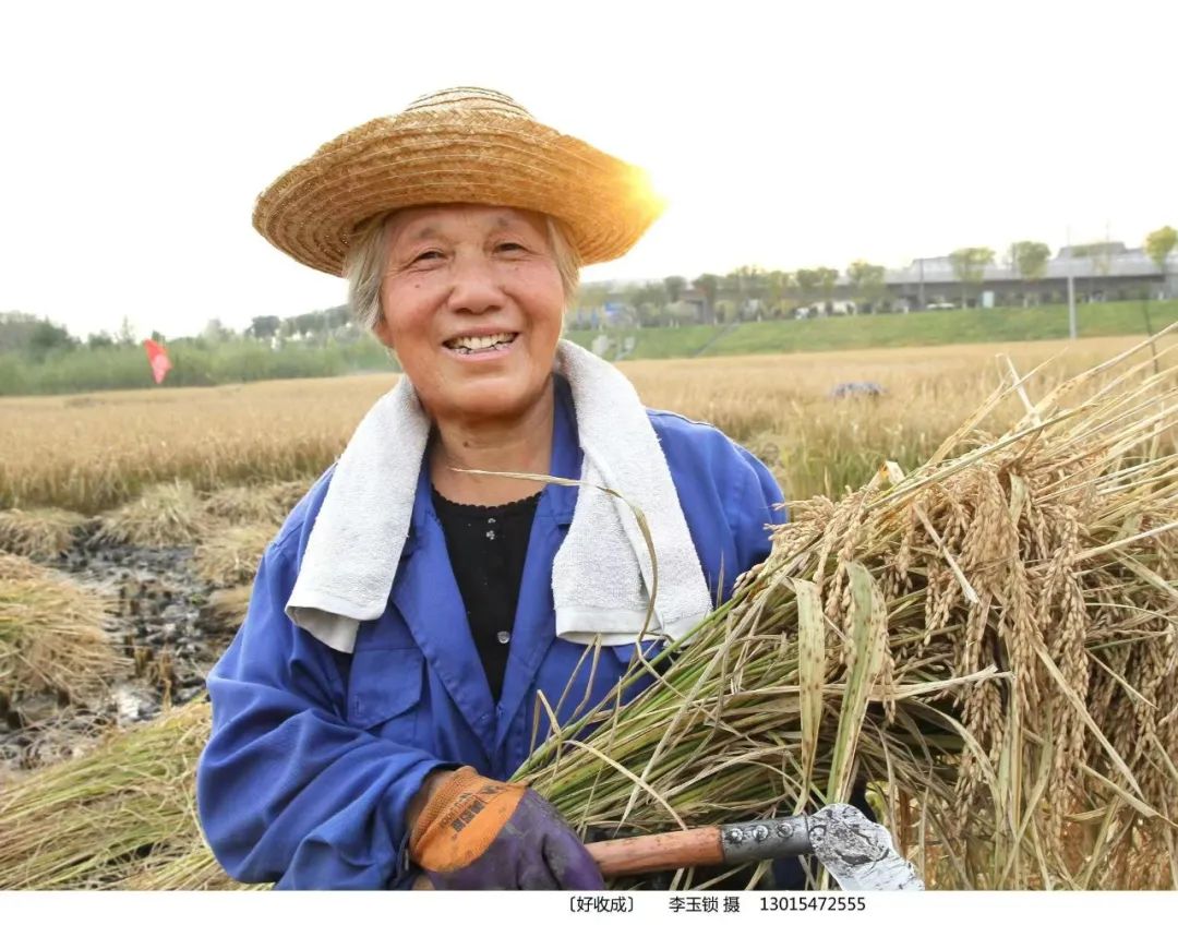 劳动照片图真人图片