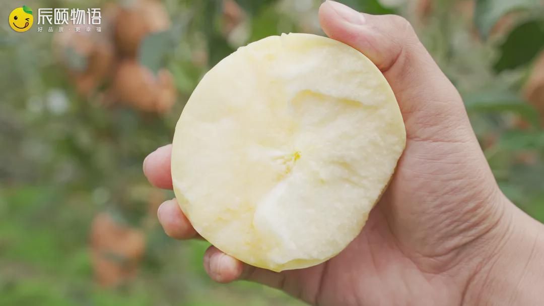 辰颐物语山东栖霞奶油富士:脆爽多汁的"金苹果",晚熟更好吃!