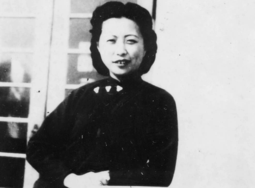 沈安娜:潜伏国党14年全身而退,临终遗言:我暴露了?从后门跑