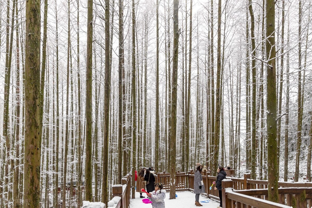 初雪过后 重庆南川山王坪宛若童话