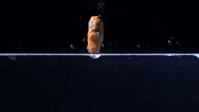 上厕所时如何科学压住水花,防止屁屁被溅湿?