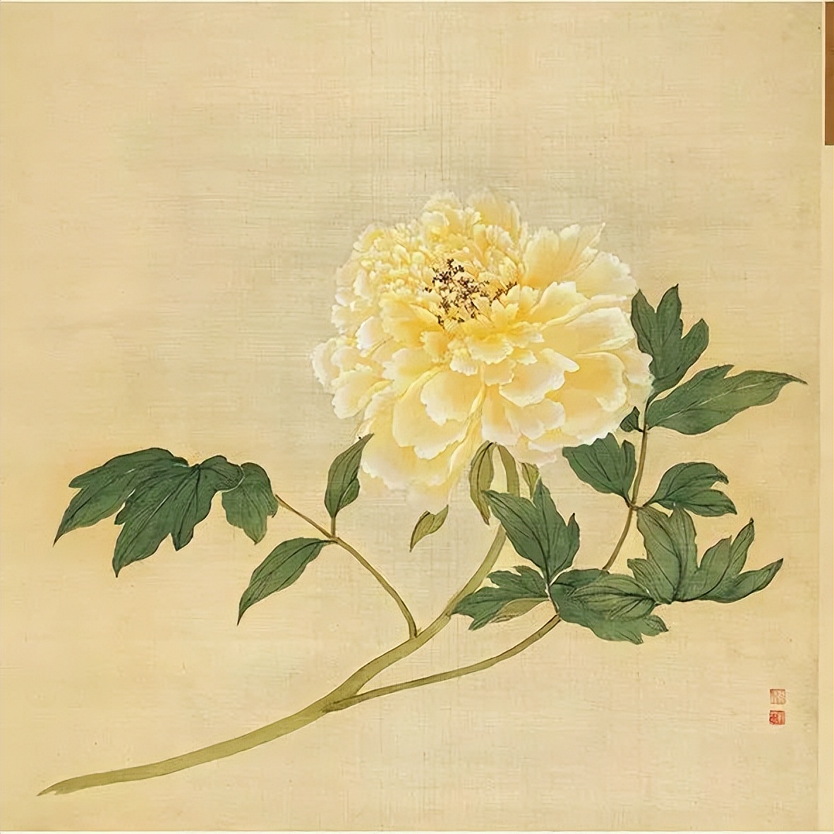 150幅清代牡丹图,雍容华贵︱大师蒋廷锡作品