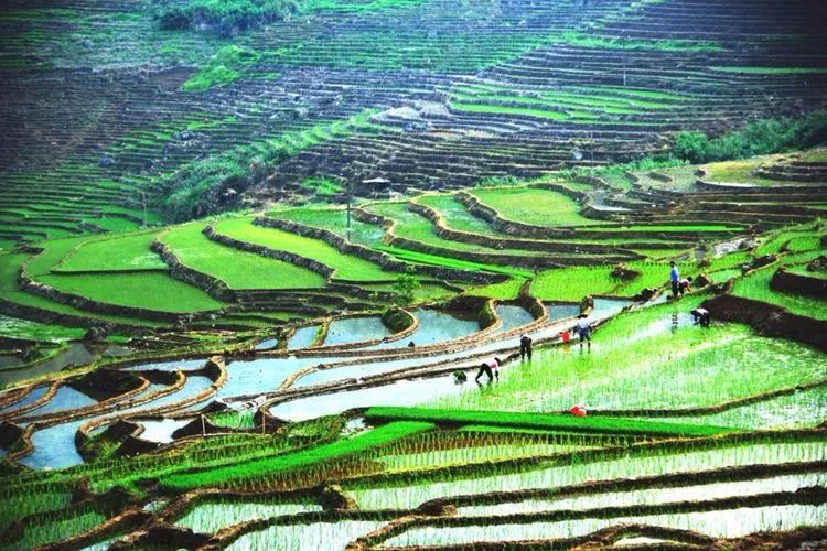 三明|夜幕降临,我在联合梯田发现了一片璀璨星河!