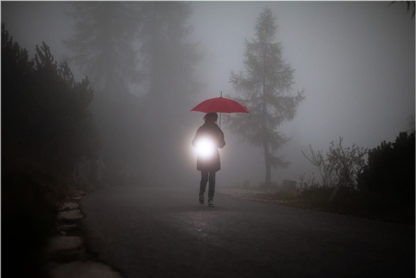 我为什么不害怕走夜路了