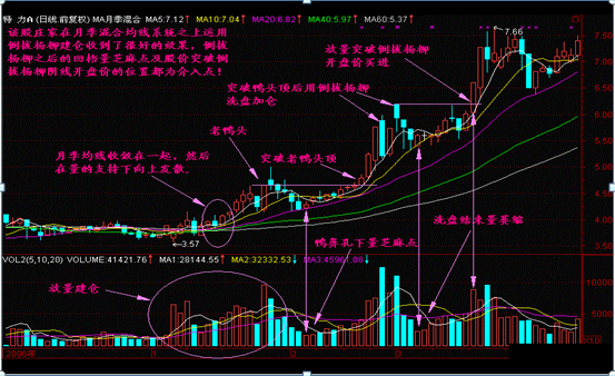 大阳后大阴组合图片