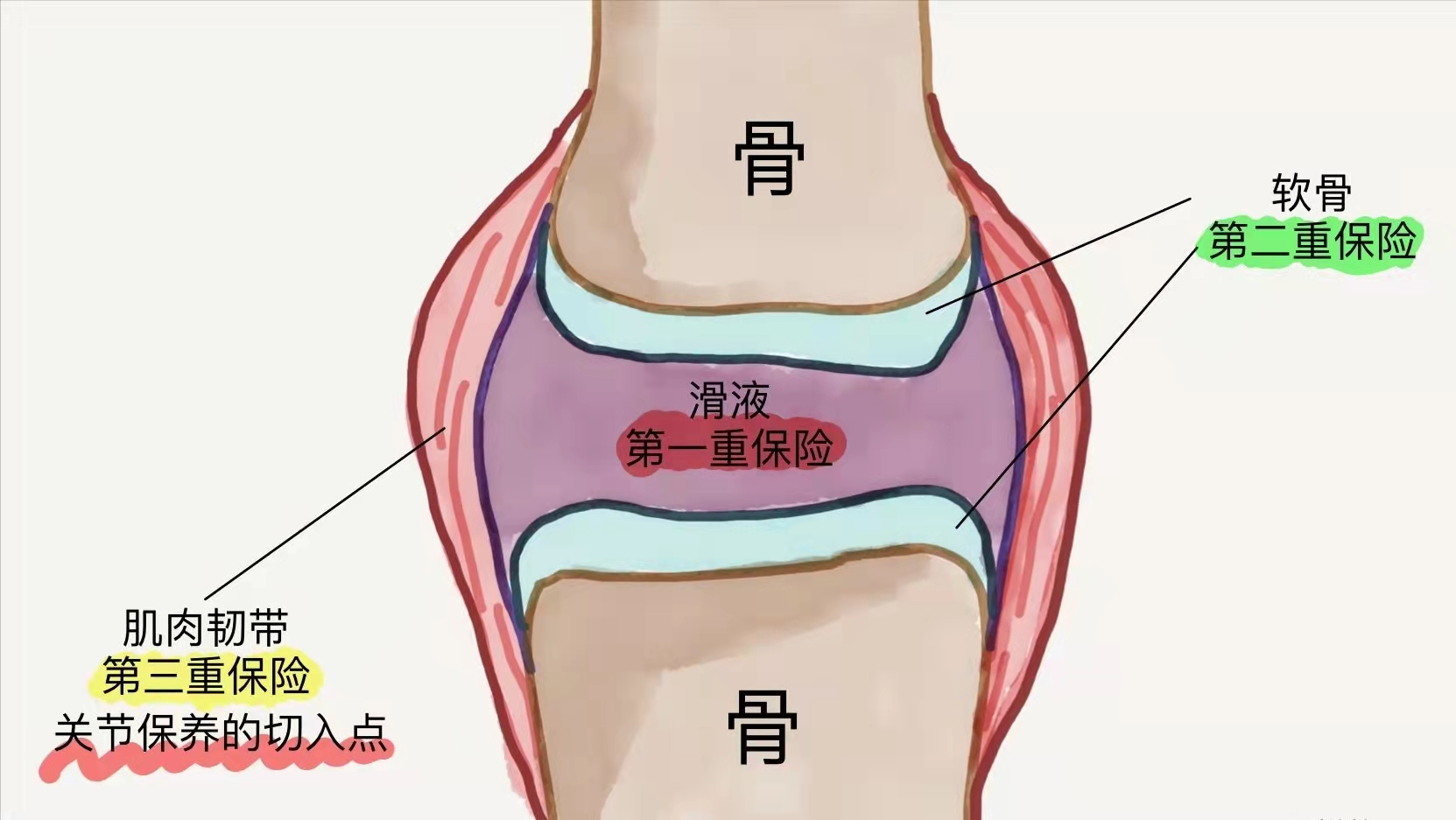 为何大多数老年人都会骨关节疼痛?怎么破解?