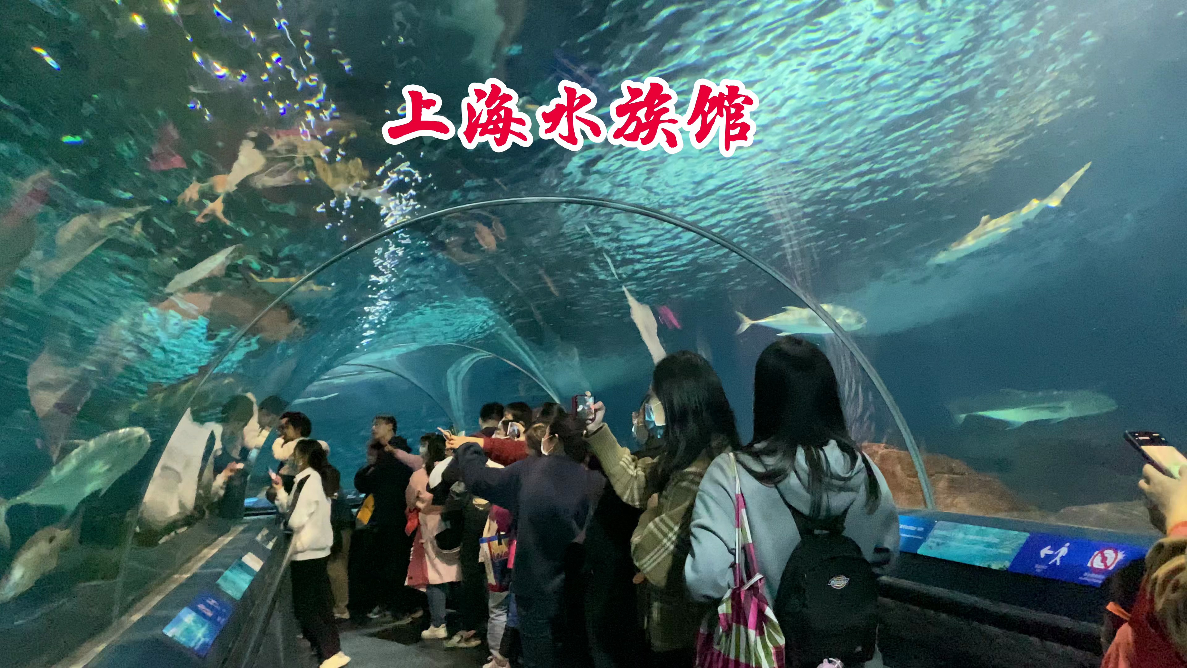 我带婆婆去上海玩两天,婆婆很开心!早起做了好吃的葱油拌面