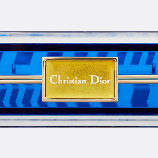 解说|dior 上市2022春夏丛林图案包包:波普艺术灵感