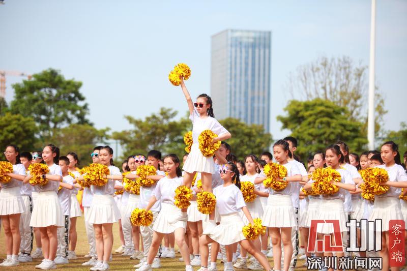 前海港湾学校怎么样?田径运动会热闹开幕(图6)