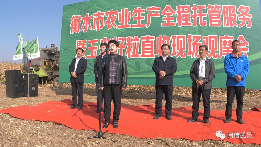 衡水市农业生产全程托管和玉米籽粒直收暨浅埋滴管观摩会在武邑县召开