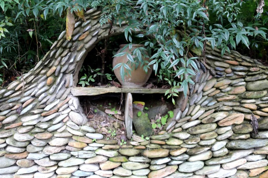 水缸- 热门商品专区