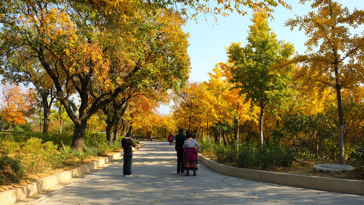 2021年北京风景年票已发布