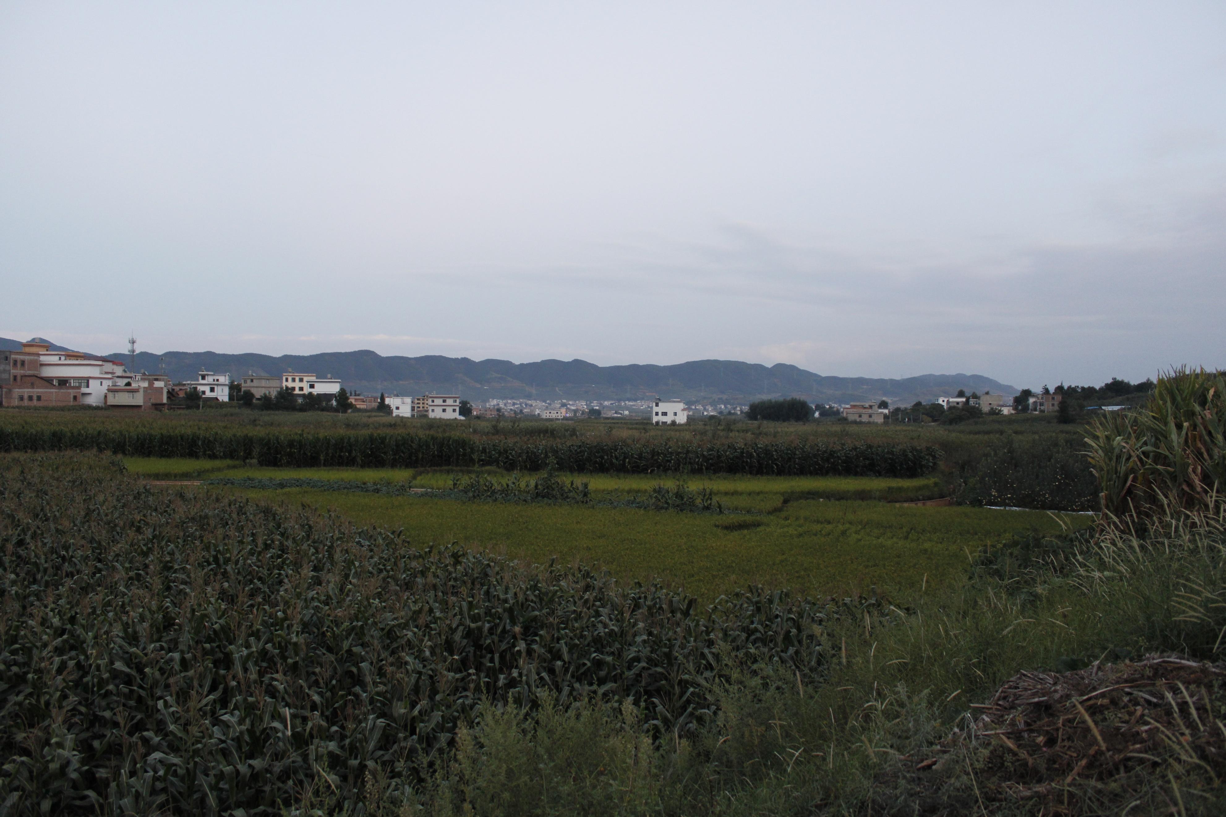 云南昭通:乐居坝子风光美