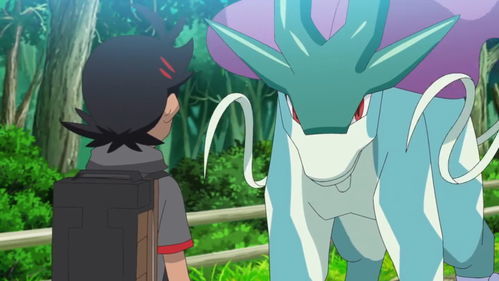 狗豪抢宝可梦不止开始抢小智衣服帽子,下一话皮卡丘马上易主是吧