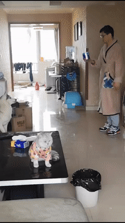 头一次干工程挖断这玩意,听说挺严重的?网友:不严重,最多死缓