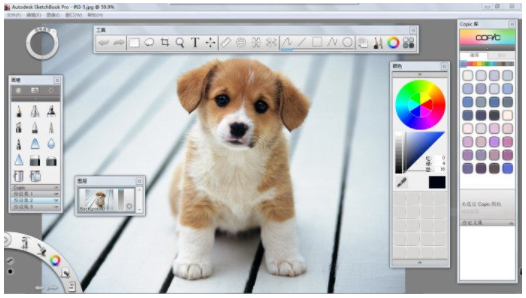 sketchbook pro2021中文专业版