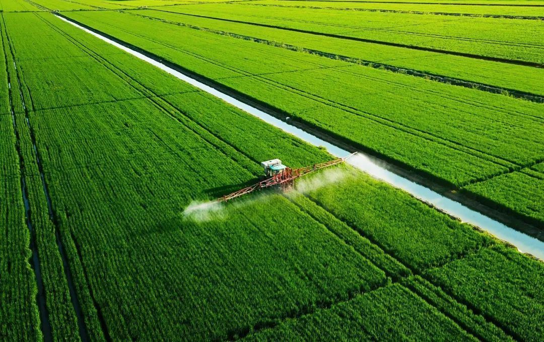 发展绿色农业经济,有哪些必要性,以及哪几方面途径?