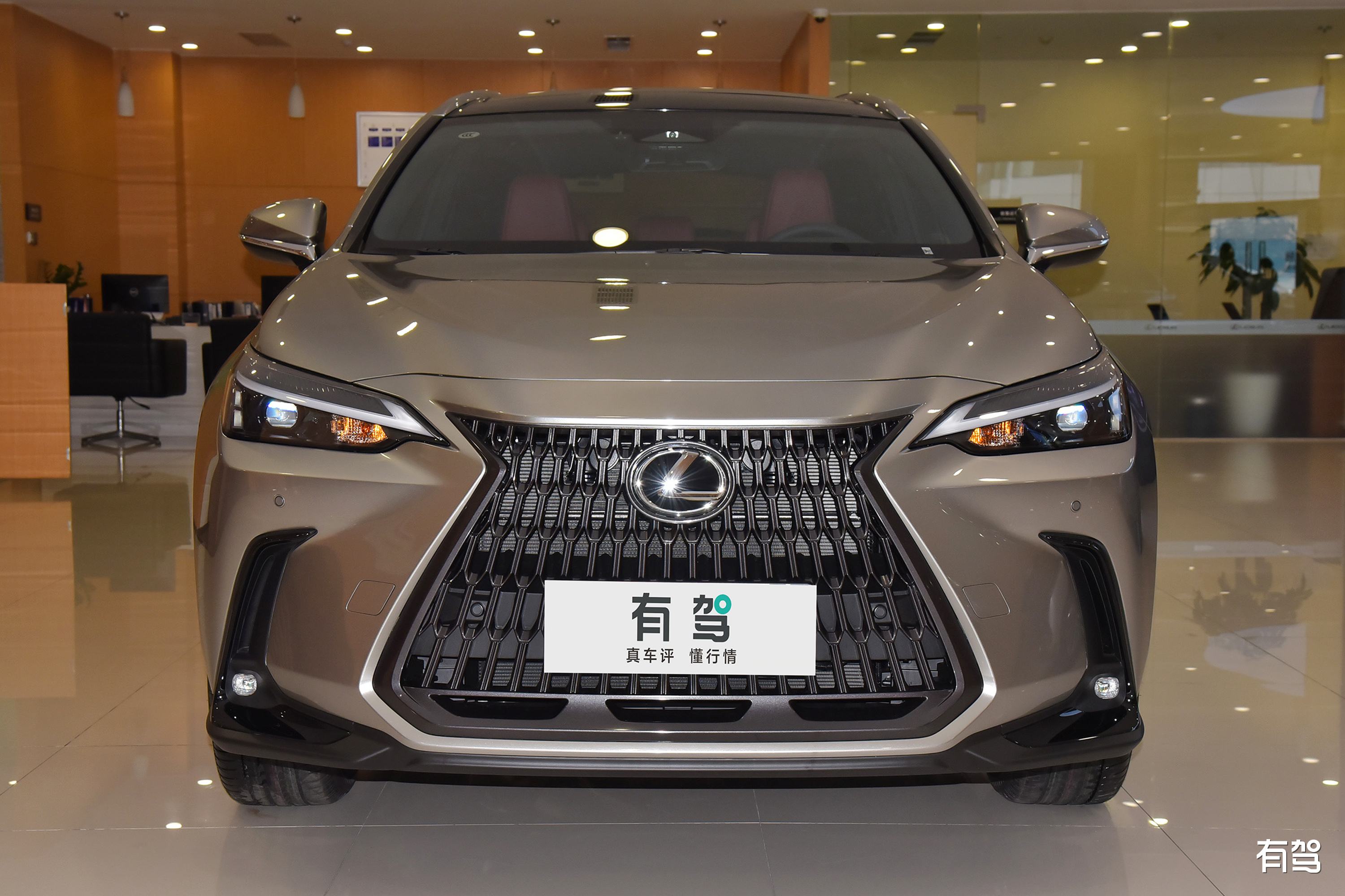 suv车型50万图片