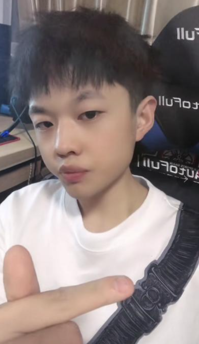 快手王者荣耀top10,舜家占五席,九天狐,听安只能靠边站