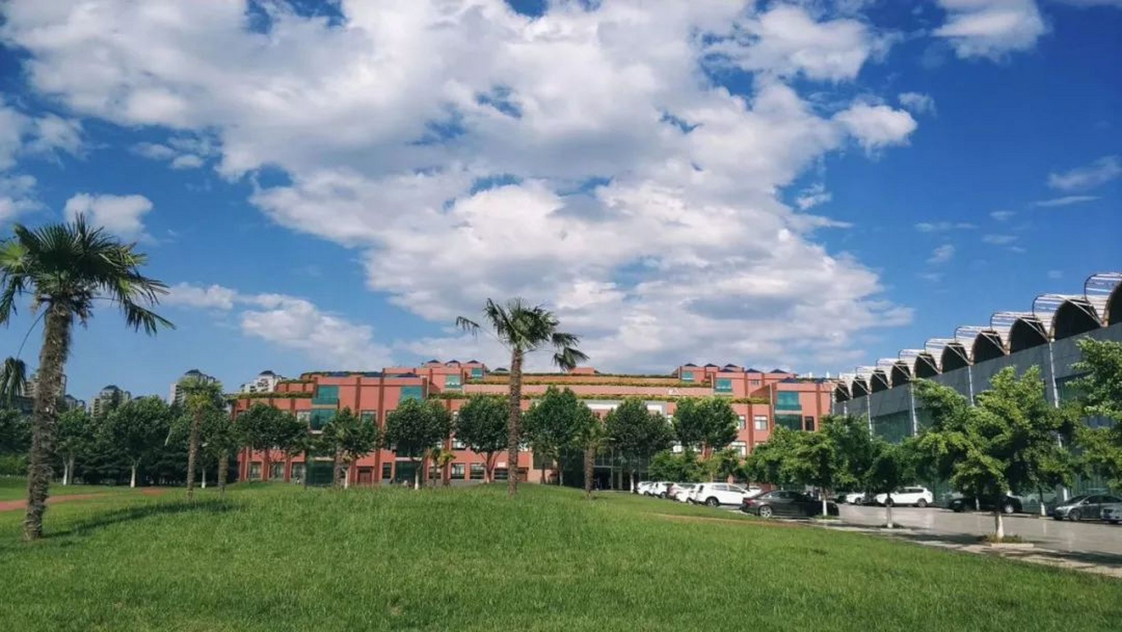 爱上西京的理由# 西京学院的绿化环境确实非常优美,整个校园内植被