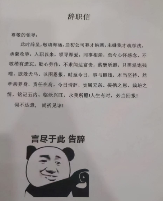 翅膀硬了辞职书图片图片