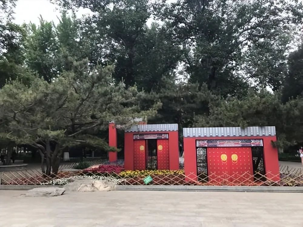 北京有条槐柏树街