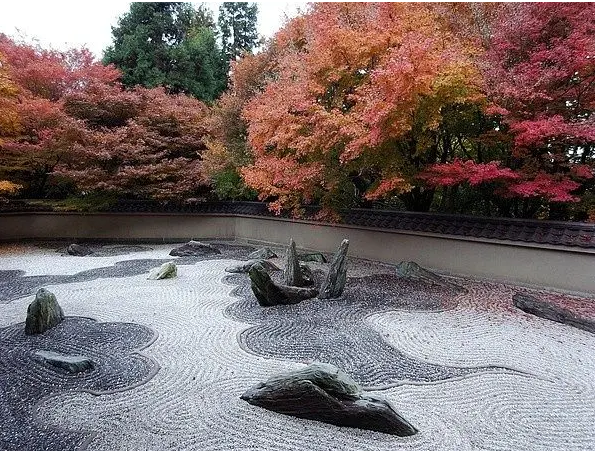 意境深远,维护简单的旱景,你确定不想要吗?