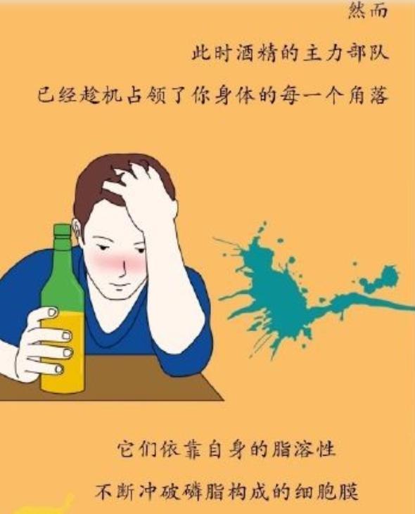 很多人对喝酒的事心里没底