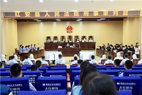 湖北红安"女黑老大"王愿玲的罪恶发迹史