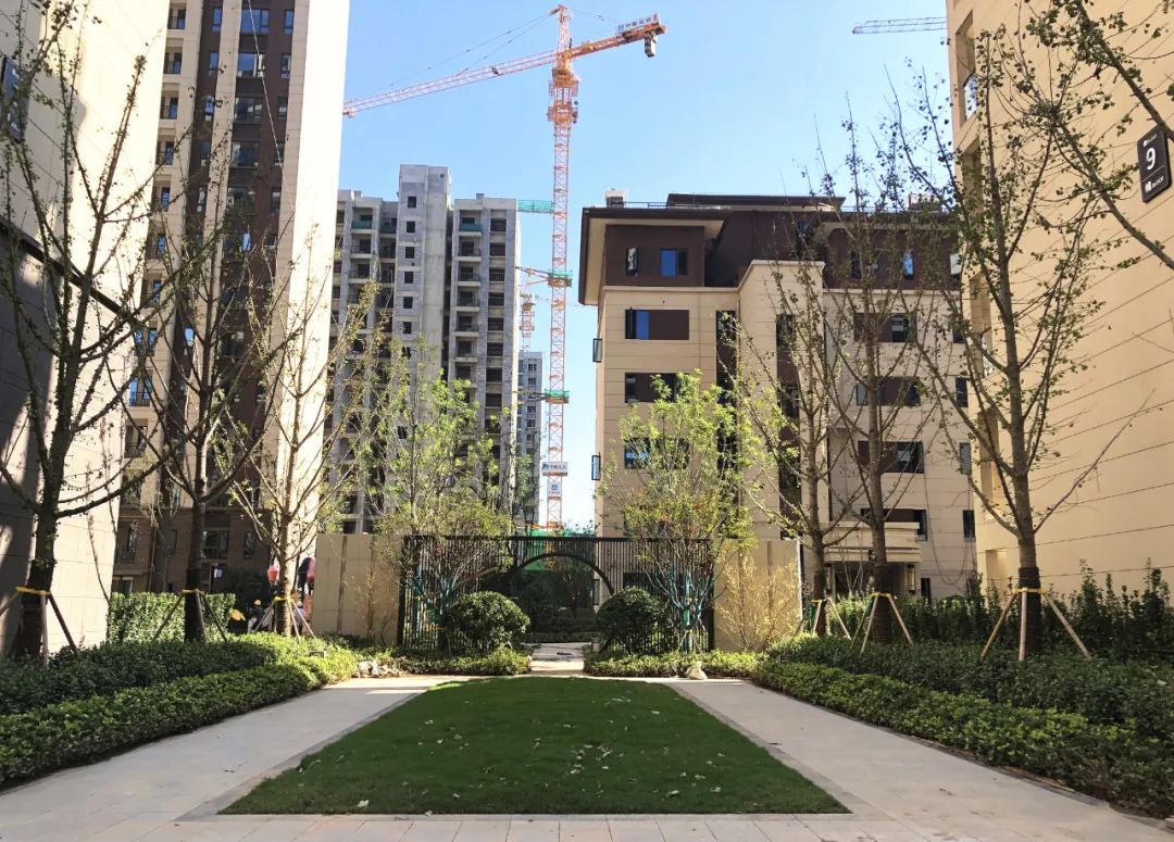 独家探访:首揭信阳碧桂园精装房神秘面纱!