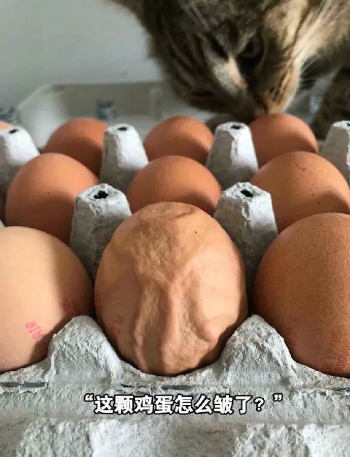 「被窝段子0116」保持热爱 总会有很多瞬间告诉你 生活温柔且浪漫