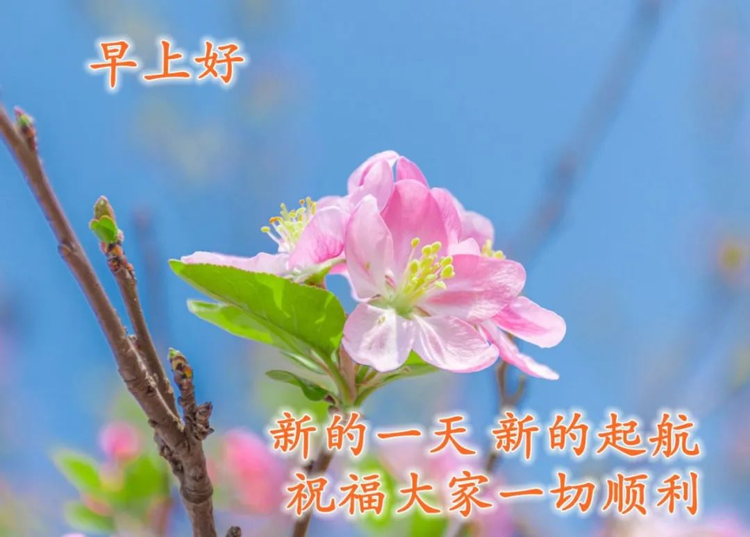 讓你好運常伴的早上好祝福圖片帶字,願你知足常樂