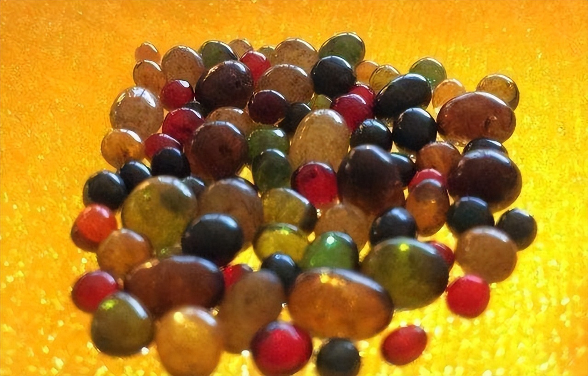 "我没有舍利子,不要烧."2012年,星云大师就交代过弟子.