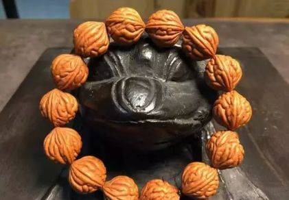 龙纹桃核越小越贵