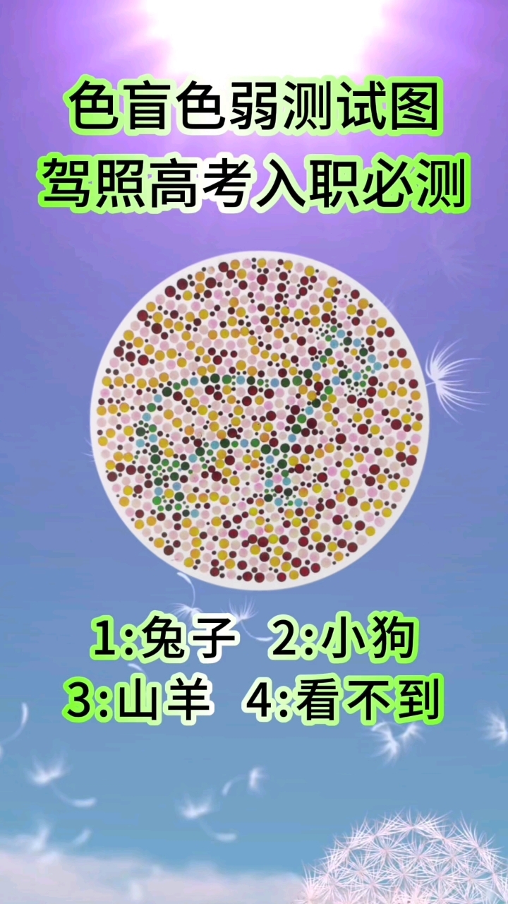 720_1280竖版 竖屏gif 动态图 动图