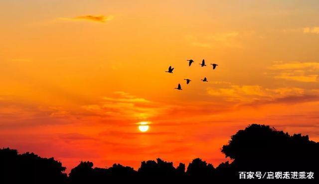 形容落日的诗句 baijiahao.baidu.com
