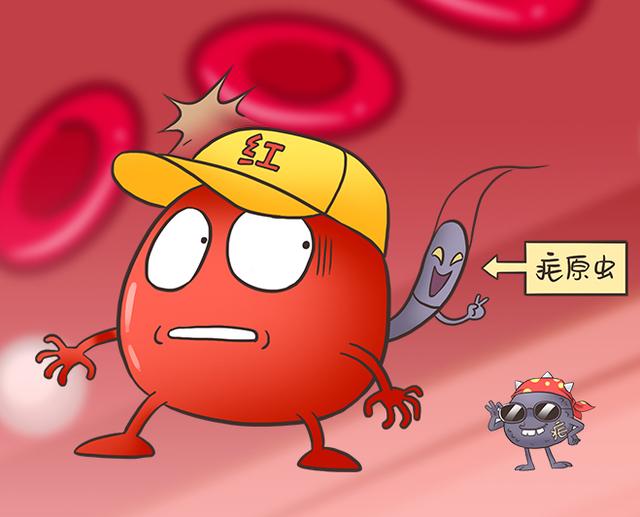 九成人不懂蚊子的天敌是啥教你1招让蚊子全都跑光光