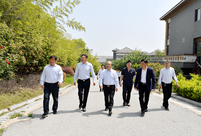 吴孟铎到遂平县考察调研文旅产业发展情况