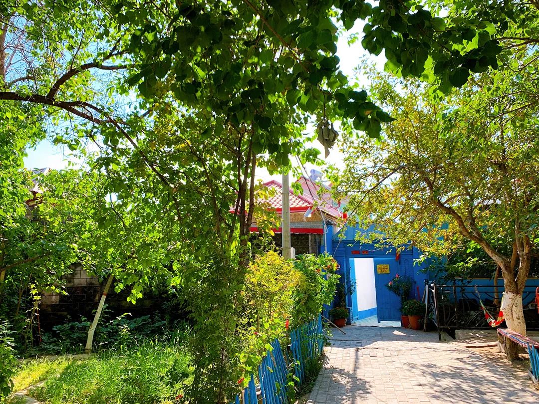 伊犁老街记忆藏在新疆的伊犁蓝小镇