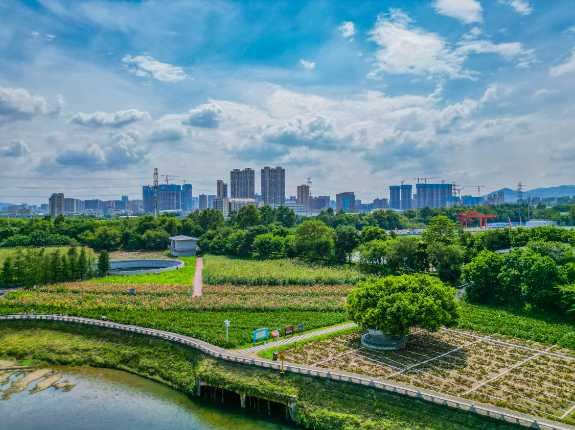 观澜湿地公园图片图片