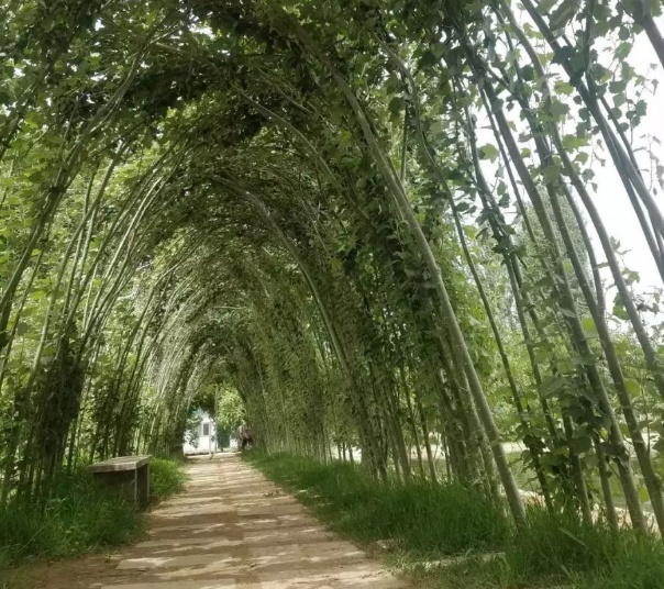 锡湜亚谜城,乔戈里峰,新藏线.你想了解的叶城风光都在这里