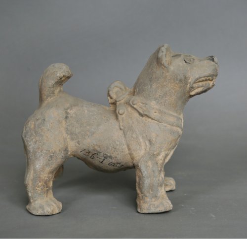 「咸阳珍宝」汉灰陶狗——人类与狗的友谊千年前已存在