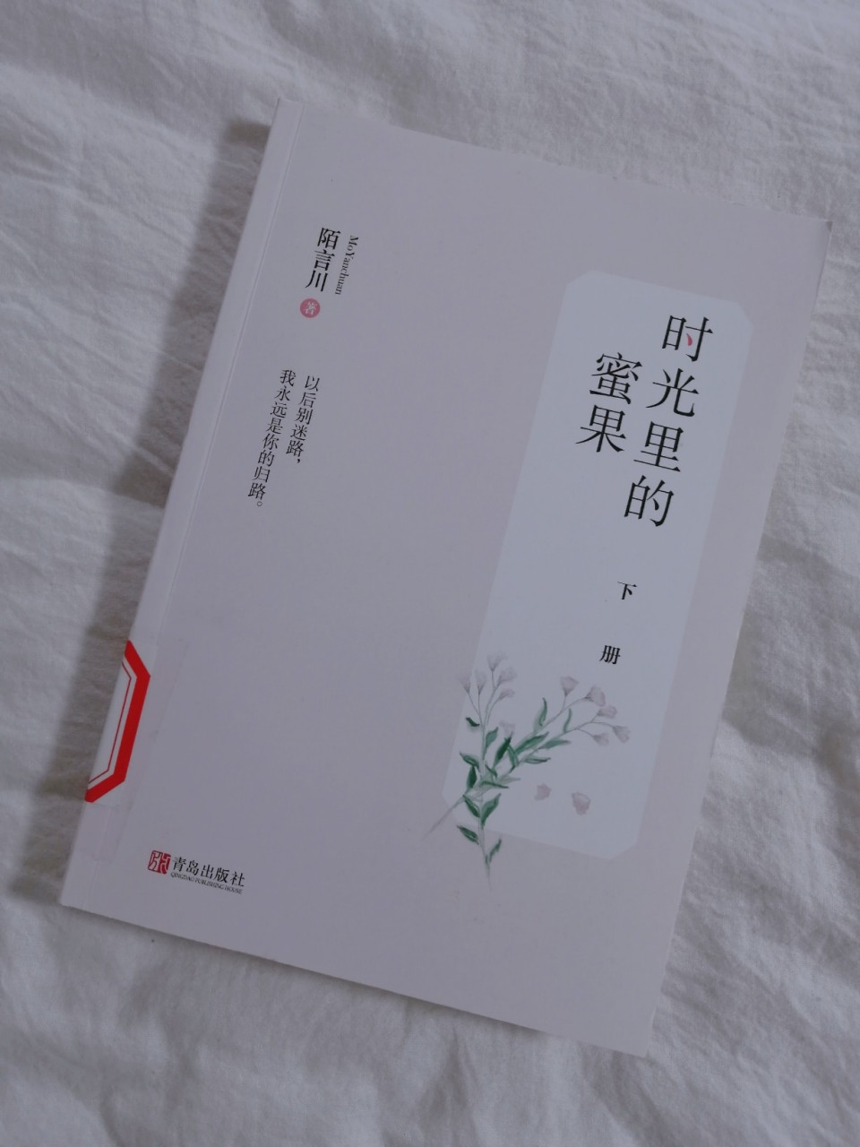 《时光里的蜜果》 丁蜜×陆时勉 如果有一天我们分手了  那一定是我