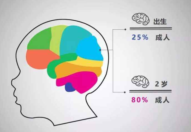 3岁前是孩子大脑发育的关键期,想让娃更聪明,注意1睡2看