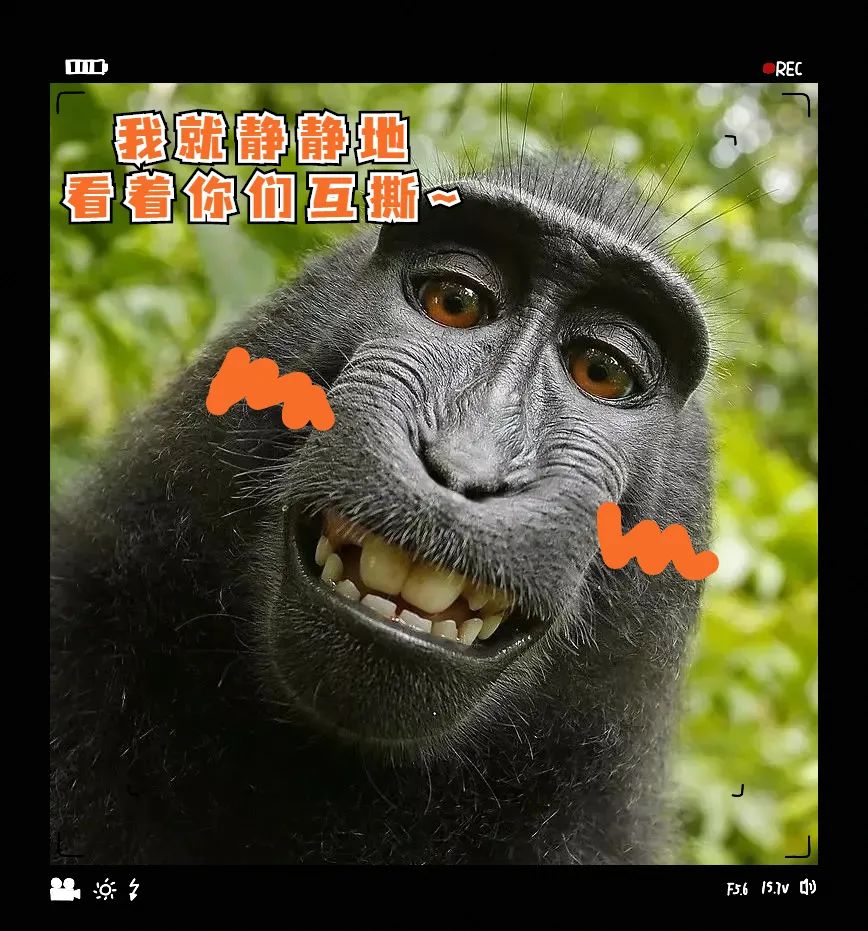 猴子的自拍照,版权归猴子吗?