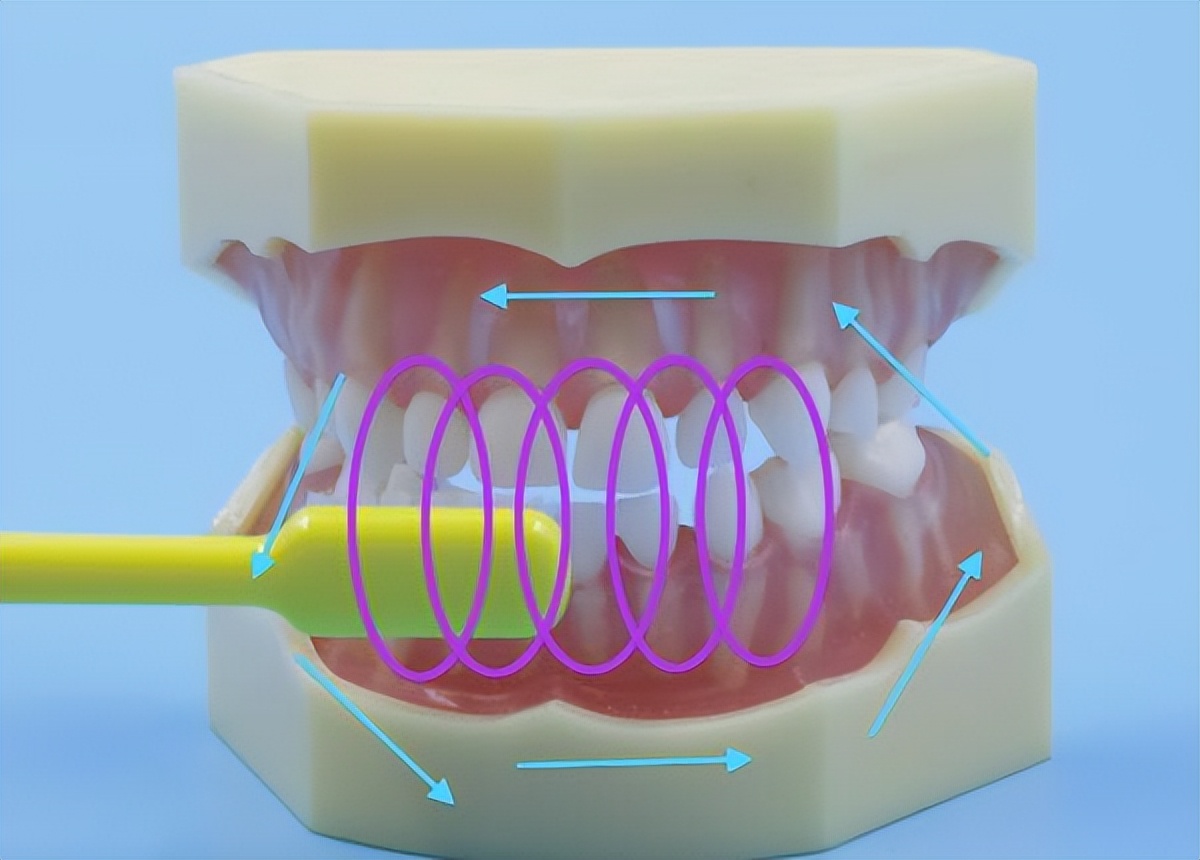 儿童圆弧刷牙法流程介绍