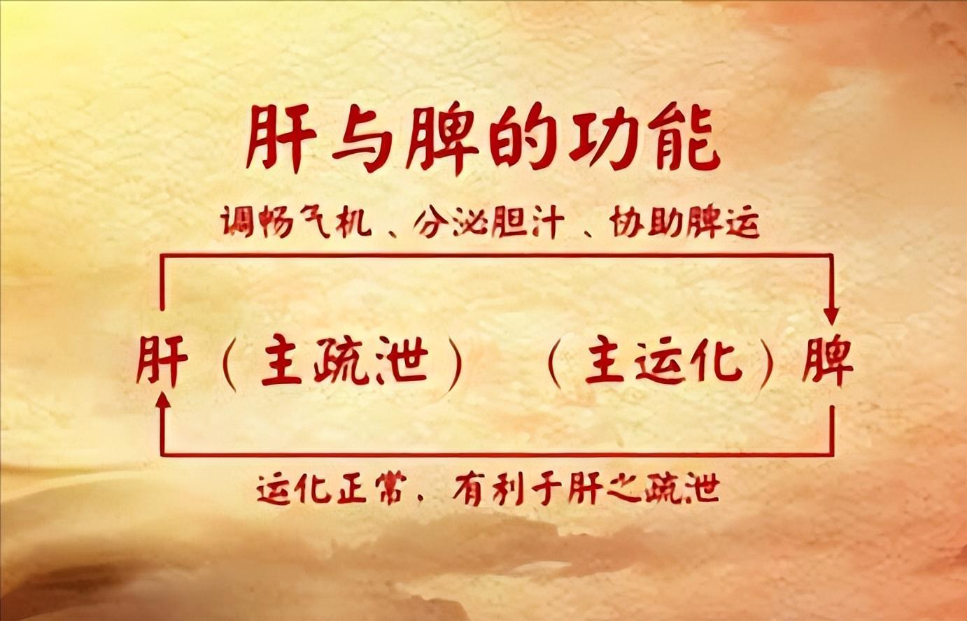 一个调和肝脾的成药能舒肝气健脾专门应对肝郁脾虚