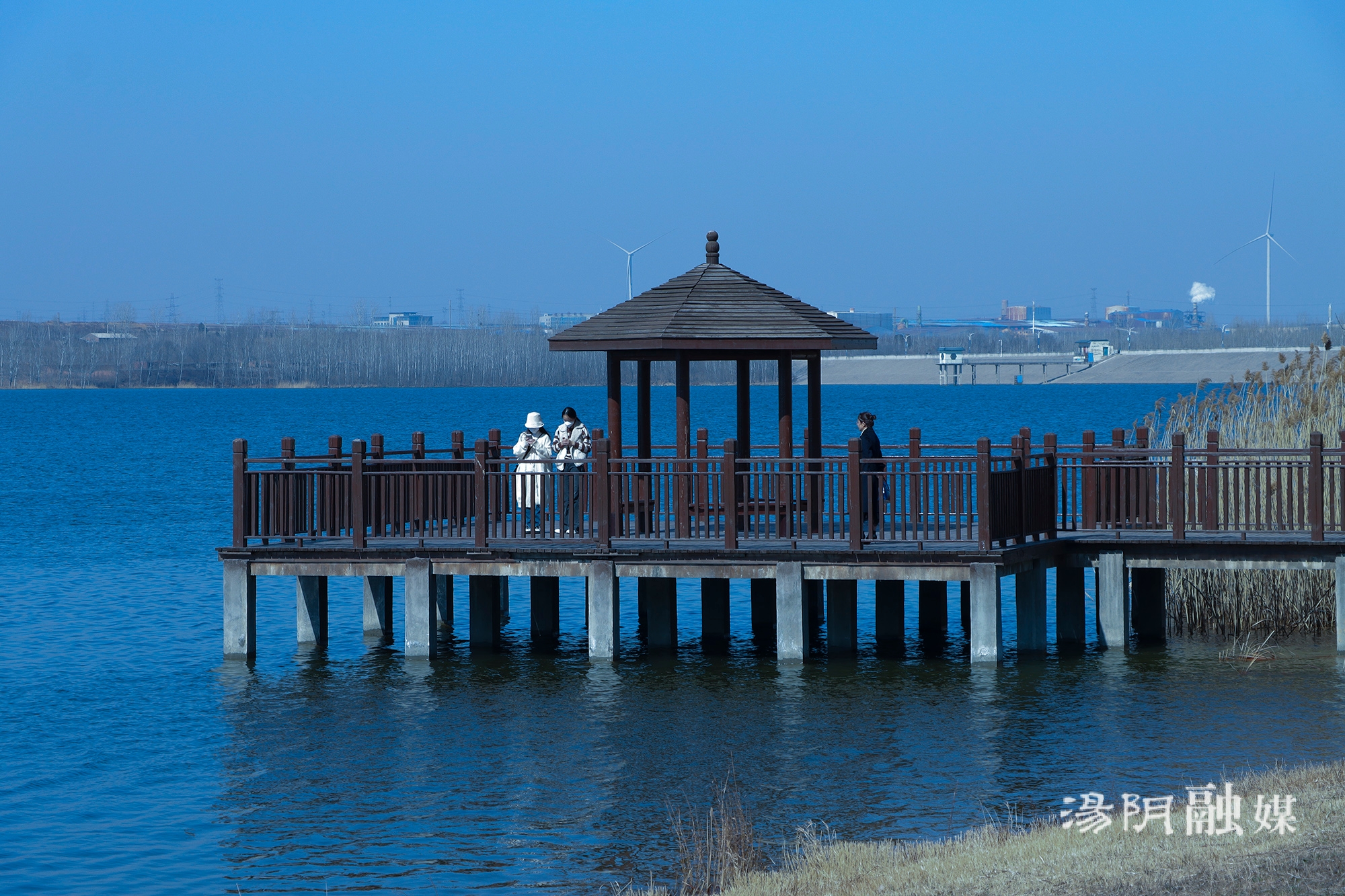 安阳汤阴汤河湿地公园图片