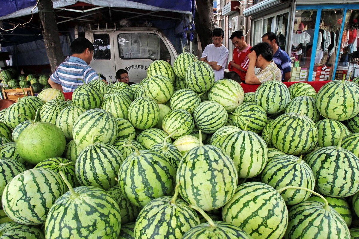 江苏大哥摆地摊,听说西瓜1元钱1个,这样真能赚到钱吗?