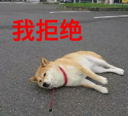 你"抱狗狗"的行为,在狗看来,代表了这些含义